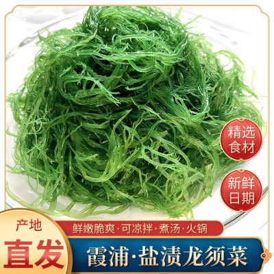 霞浦龙须菜新鲜盐渍海菜海草海藻石花菜鹿角菜凉拌煲汤火锅好食材