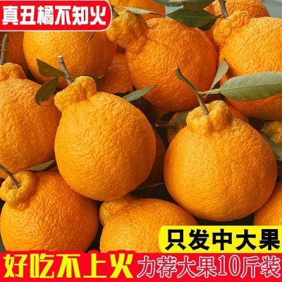 丑橘新鲜橘子不知火当季水果桔子柑橘美味四川丑柑非沃柑耙耙柑