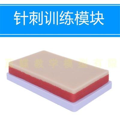 中医练习针刺训练模块人体穴位针灸手法培训模型模拟扎针皮肤模具