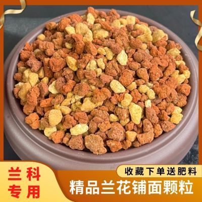 兰花精品铺面颗粒植料红土植金石进口专用盆面石种植拌料高端兰科