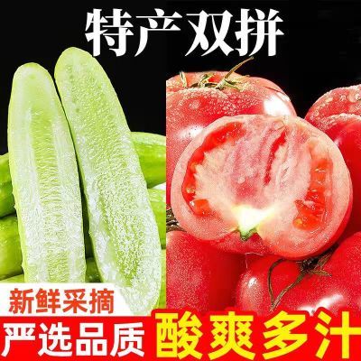 【顺丰】正宗白玉黄瓜普罗旺斯西红柿组合水果黄瓜新鲜5斤整箱