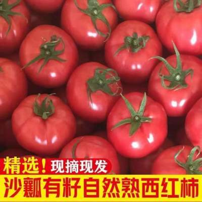 【顺丰】普罗旺斯西红柿新鲜生吃应季蔬菜自然成熟沙瓤番茄2斤