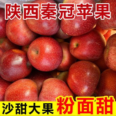 陕西秦冠苹果粉面香甜新鲜应季水果5/10斤刮泥苹果水果批发一整箱