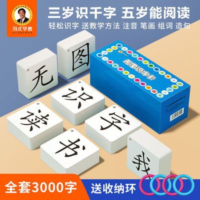 冯式早教3000字儿童识字卡片宝宝幼儿园学龄前无图生字汉字认字卡