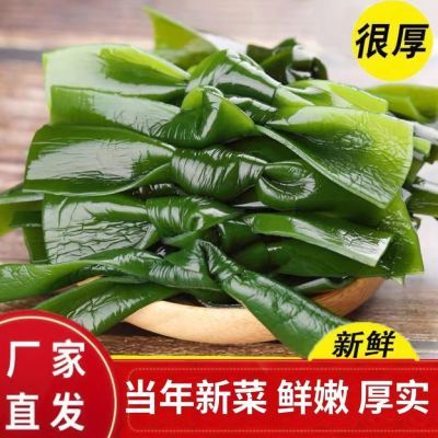 新鲜特厚嫩绿海带结2/5斤整箱盐渍海带中小扣火锅串商用食材批发