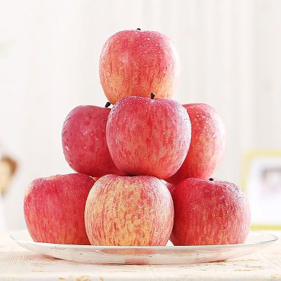 【冰糖心】新鲜红富士苹果丑苹果现摘新鲜苹果水果1/5/10斤包邮果【3月10日发完】