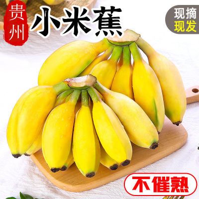 贵州小米蕉新鲜应当季水果芭蕉苹果蕉皇帝蕉自然熟整箱包邮