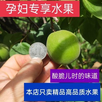 农家青杏子新鲜应季水果孕妇水果酸杏子绿杏青梅软核脆嫩