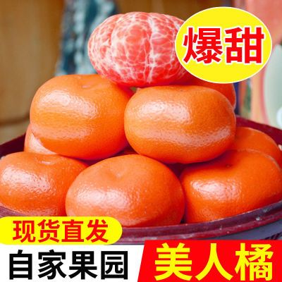 【3月现摘】红美人橘子蜜桔子新鲜应季水果薄皮非砂糖橘沃柑批发
