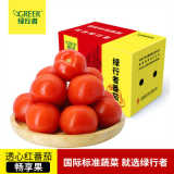 【绿行者】透心红番茄5斤小西红柿新鲜现摘蔬菜儿童生吃多汁水果