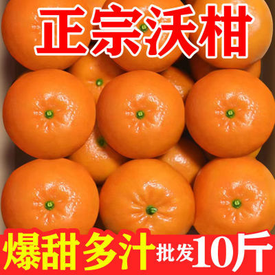 【正宗】广西武鸣沃柑超甜橘子新鲜应季水果整箱批发非丑橘耙耙柑
