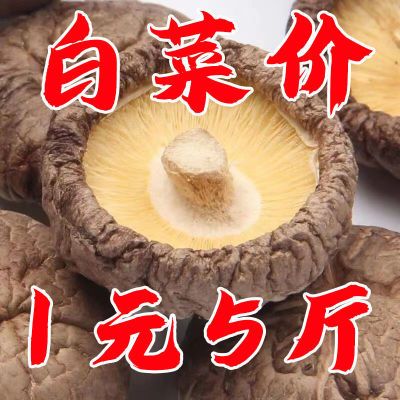 香菇干货500g 古田农家肉厚无根干香菇新货 蘑菇冬菇菌菇批发5g