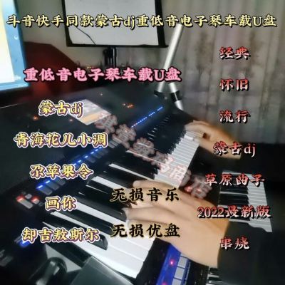 键盘张世平重低音电子琴车载U盘蒙古dj首抖音快手USB通用蒙古最新