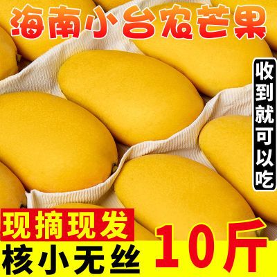 【当天发出】海南小台农芒果10斤/5斤/2斤香甜可口当季新鲜水果箱