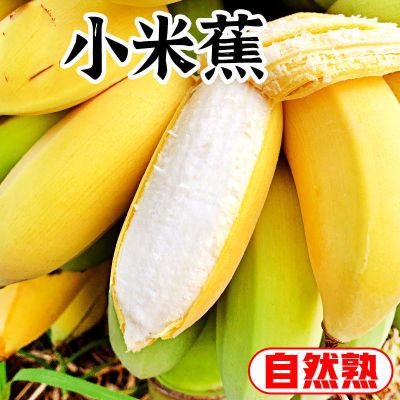 贵州香蕉新鲜小米蕉水果包邮小香芭蕉苹果蕉自然熟当季整箱