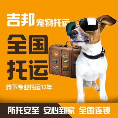 宠物猫咪狗狗托运航空铁路专车天津北京上海全国托运