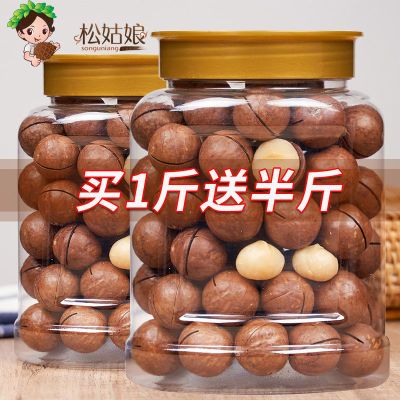 新货奶油夏威夷果总500g/40g送开口器零食坚果大礼包