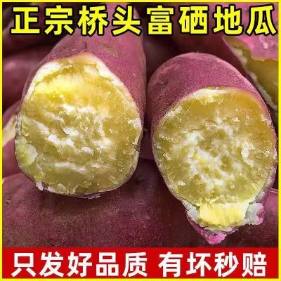 【精品】正宗桥头地瓜板栗薯红苕山芋蜜薯非西瓜红红薯贝贝南瓜