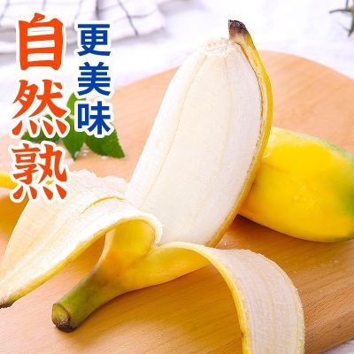 贵州册亨自然蕉小米蕉3-5斤包邮香蕉产地直发自然熟当季现摘