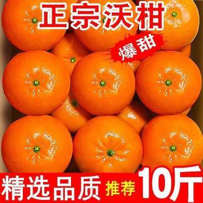 云南高原沃柑水果应季新鲜整箱批发橘子柑橘非广西皇帝柑丑橘