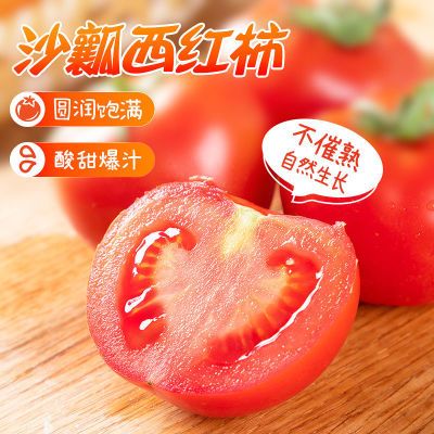 秋趣山东普罗旺斯西红柿番茄新鲜生吃自然成熟小番茄价批发3/5斤