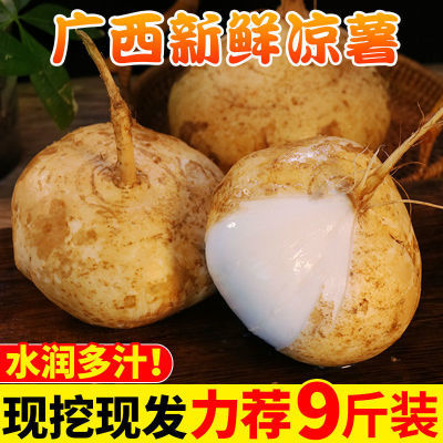 【高品质】5/9斤当季新鲜正宗广西凉薯生吃脆甜白心地瓜网红凉薯