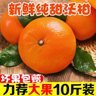 正宗纯甜沃柑新鲜9斤大果水果整箱当季桔子砂糖现摘蜜橘柑橘桔子5