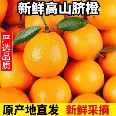【果园直发】 高山脐橙当季新鲜水果应季甜橙3斤65mm起单果150g