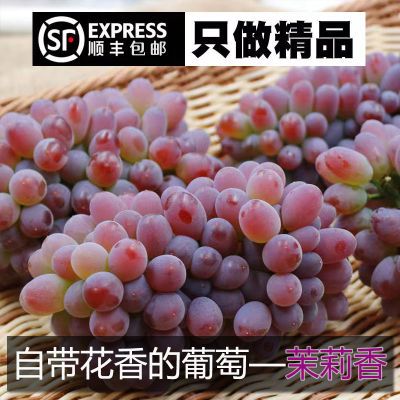 ڲˮʵ4.5gǺС22.99Ԫ