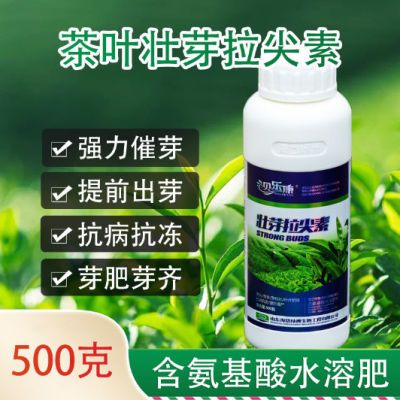 茶叶催芽壮芽素 爆芽王增产提前出芽抗病抗冻茶叶催芽专用叶面肥