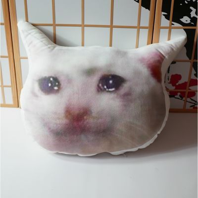 crying cat流泪猫猫头哭哭猫沙雕表情包恶搞笑抱枕毛绒双面靠垫