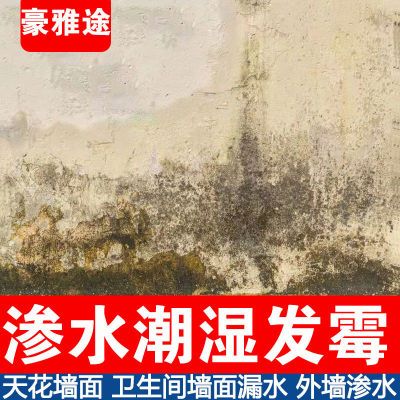 内墙防水防霉背水涂堵漏材料装修防水抗碱腻子粉防漏水防潮粉