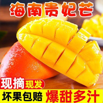 【胡鲜森】海南贵妃芒新鲜芒果当季水果热带大芒果整箱单果155g起