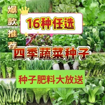 16种蔬菜种子套餐绿叶菜种子一年四季易种有机菜籽夏秋冬阳台庭院