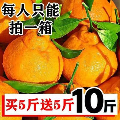 青见柑橘耙耙柑丑橘丑桔姐妹款新鲜应季水果橘子桔子10斤整箱批发