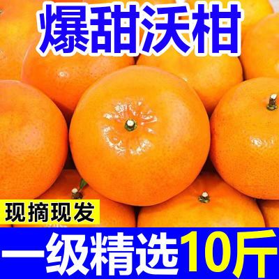 【精选沃柑】广西武鸣沃柑应季新鲜桔子水果批发整箱非皇帝柑丑橘