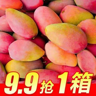 【品质】精选10斤海南贵妃芒整箱水果芒果新鲜红金龙5/2斤甜心芒