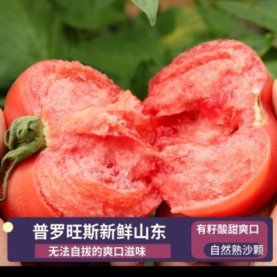 普罗旺斯西红柿番茄新鲜蔬菜水果自然熟孕妇生吃沙瓤玲珑圣女果