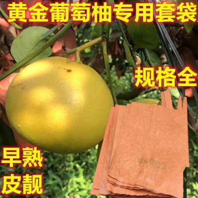 黄金葡萄柚专用套袋加厚早熟果套纸袋子桔柚橙贡柚防虫保护袋批发