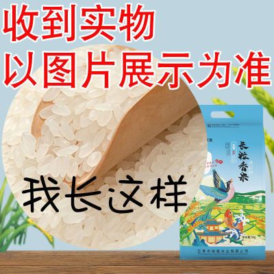 东北大米五常长粒香米黑龙江种植基地2022年新米稻米10斤