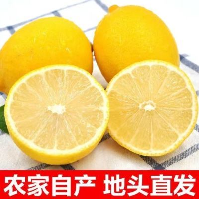 四川安岳特产新鲜黄柠檬一二级当季水果皮薄多汁独立包装坏果包赔