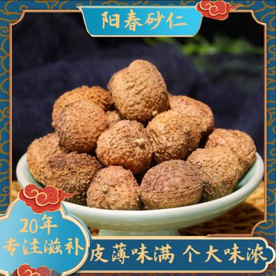 春砂仁阳春正宗养胃健脾胃阳春春砂仁煲汤广东阳春特产春砂仁干果