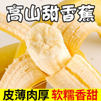 云南香蕉批发整箱当季水果新鲜包邮6斤/10斤自然熟大香蕉非小米蕉