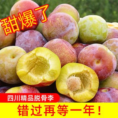 【闪发货5斤】正宗四川脱骨李子清脆李空心李子孕妇水果整箱批发【5月31日发完】