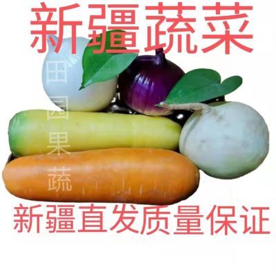 新疆农家绿色五拼组合蔬菜新疆黄红萝卜恰玛古红白洋葱家庭装包邮
