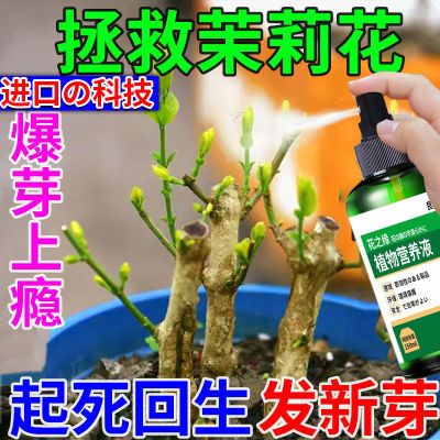 茉莉花专用肥料营养液干枯黄叶不开花催花爆芽一喷绿氮磷钾复合肥