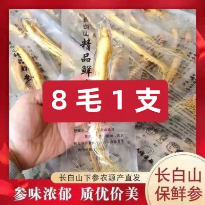 鲜参真空包装长白山保鲜参泡酒参 东北特产新鲜人参煲汤补品材料