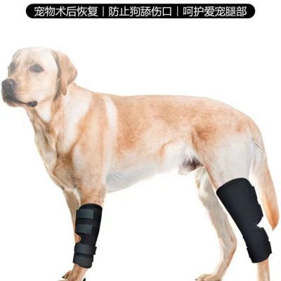 狗狗护腿套宠物腿受伤恢复绑带防舔保护关节固定包裹腿部支架护套