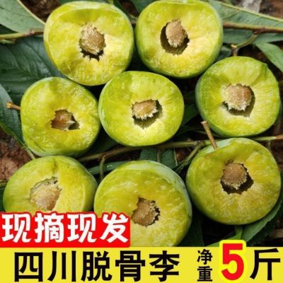 175529/四川脱骨李子青脆李子红脆李江安李茵红李半边红孕妇新鲜水果贵州