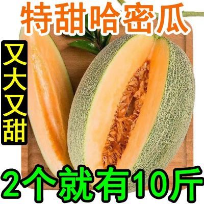 168058/新鲜海南哈密瓜脆甜多汁8/10斤装甜瓜网纹瓜包邮水果